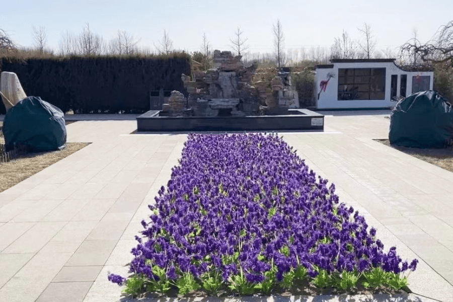 廊坊福轩公墓景观图